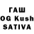 Галлюциногенные грибы Magic Shrooms Nargiza Salamatova