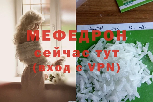 индика Богородицк