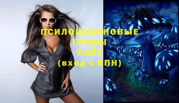 амф Бронницы